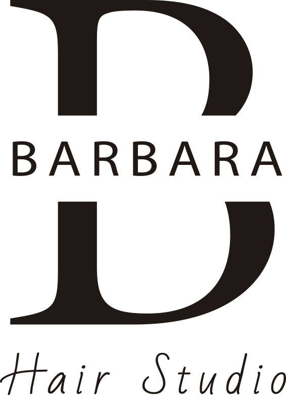 LOGO_BARBARA_HAIR_STUDIO_2026_05_28_3384.png