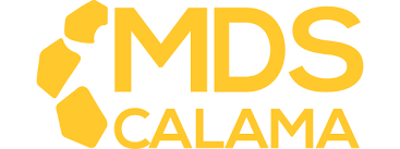 LOGO_CASINO_MDS_CALAMA_2026_05_29_3385.PNG