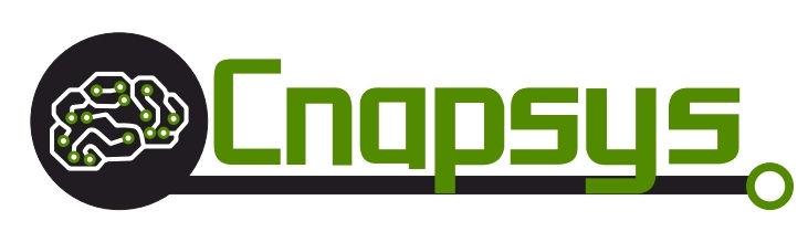 LOGO_CNAPSYS_2026_05_27_3368.jpg