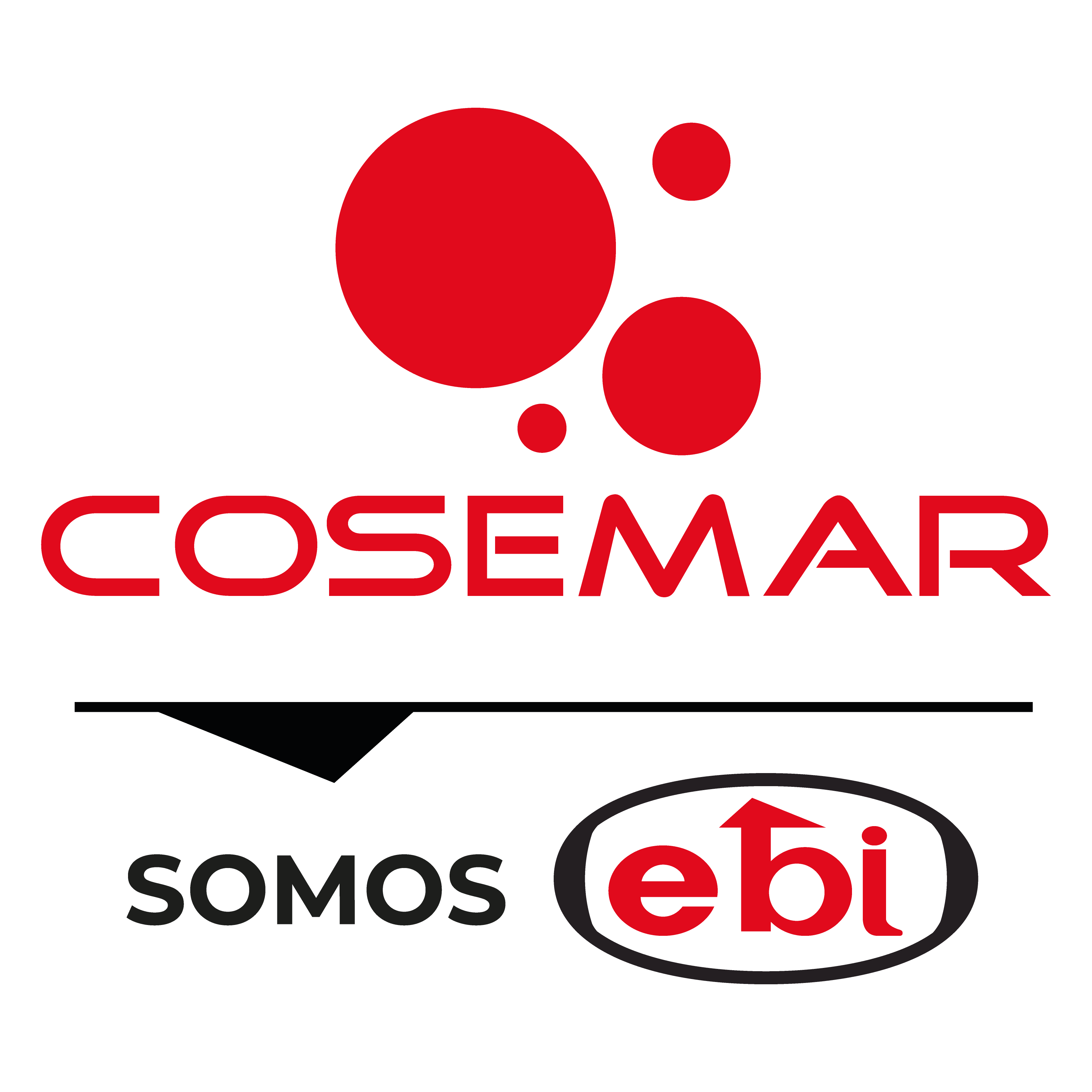 LOGO_COSEMAR_2026_06_04_3525.png