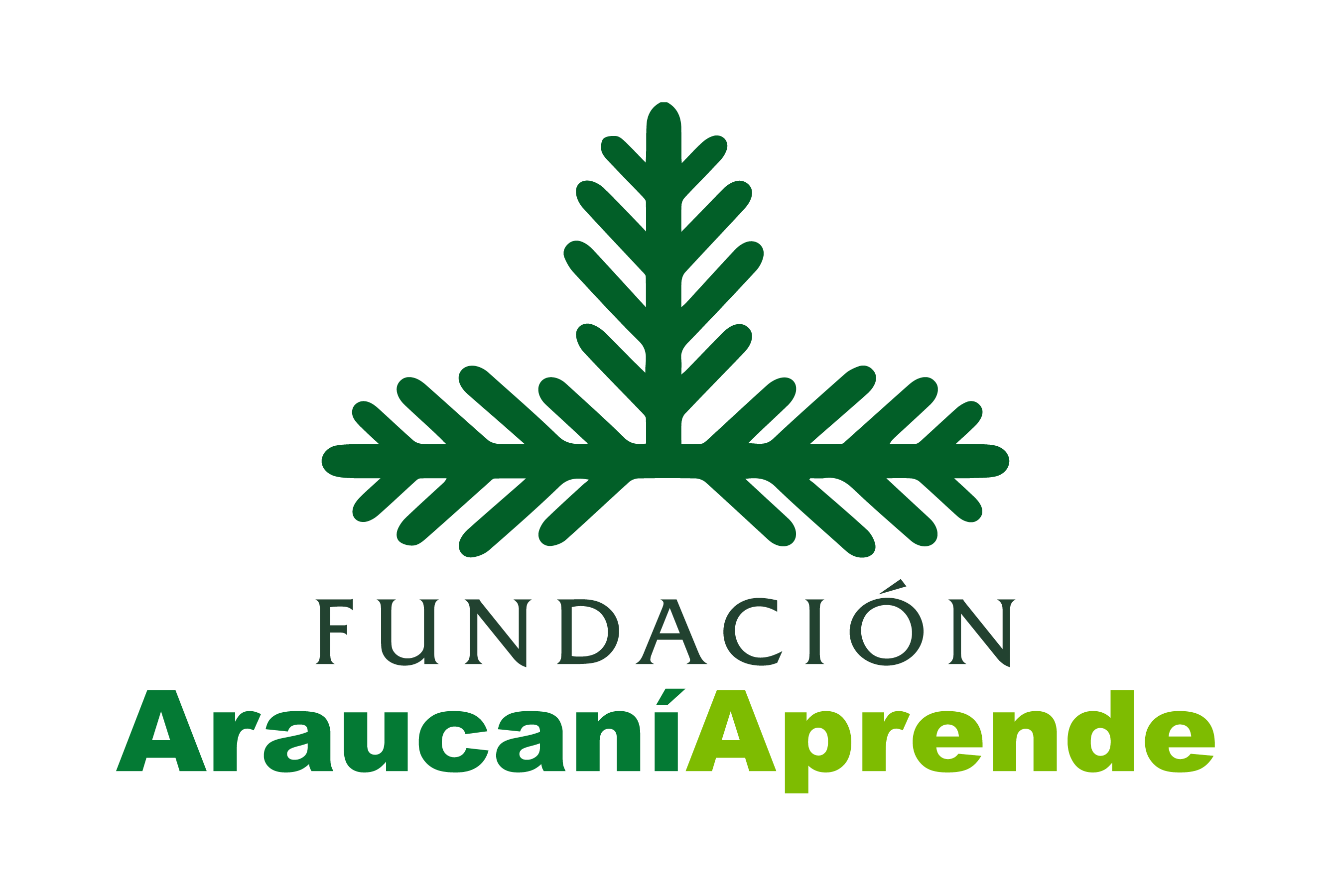 LOGO_FUNDACION_ARAUCANIAPRENDE_2025_06_09_2900.PNG