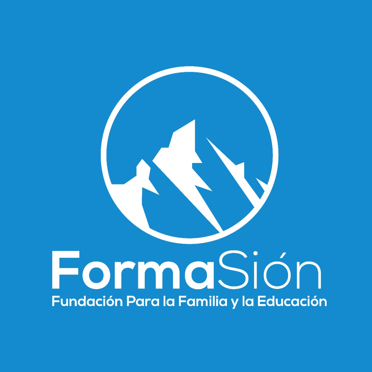 LOGO_FUNDACION_EDUCACIONAL_FORMASION_2023_07_03_1852.JPG