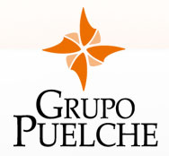 LOGO_GRUPO_PUELCHE_2021_09_13_804.JPG