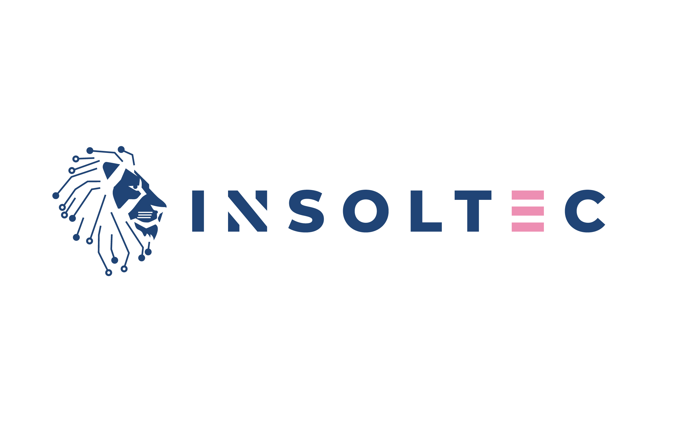 LOGO_INSOLTEC_SPA_2025_06_13_2491.JPG