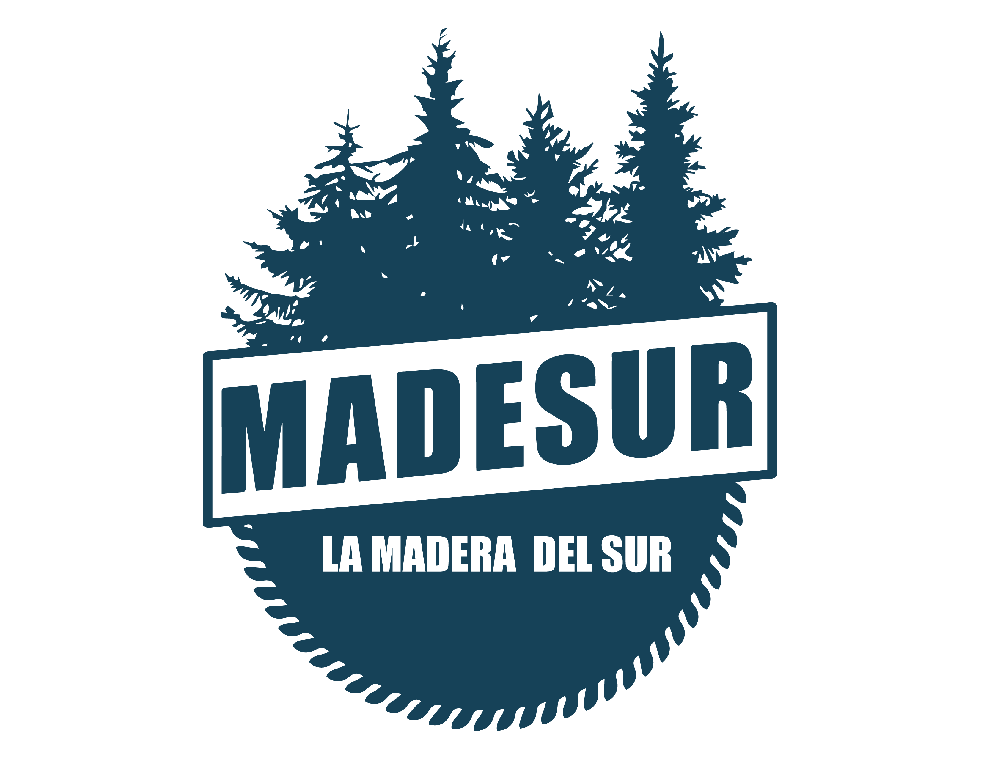 LOGO_MADESUR_2026_06_04_3535.png