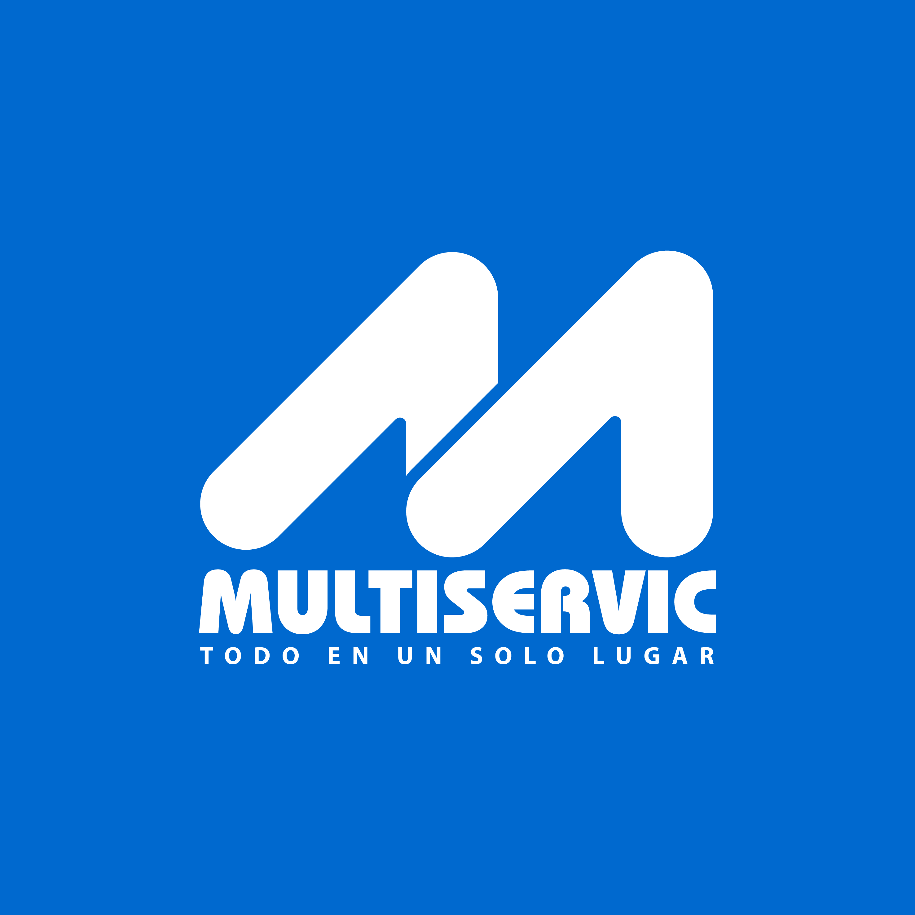 LOGO_MULTISERVIC_2026_05_25_3329.png