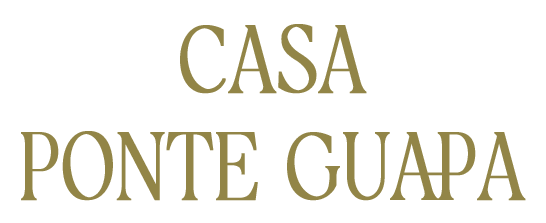 LOGO_SALON_DE_BELLEZA__PONTE_GUAPA_2025_12_03_3217.png