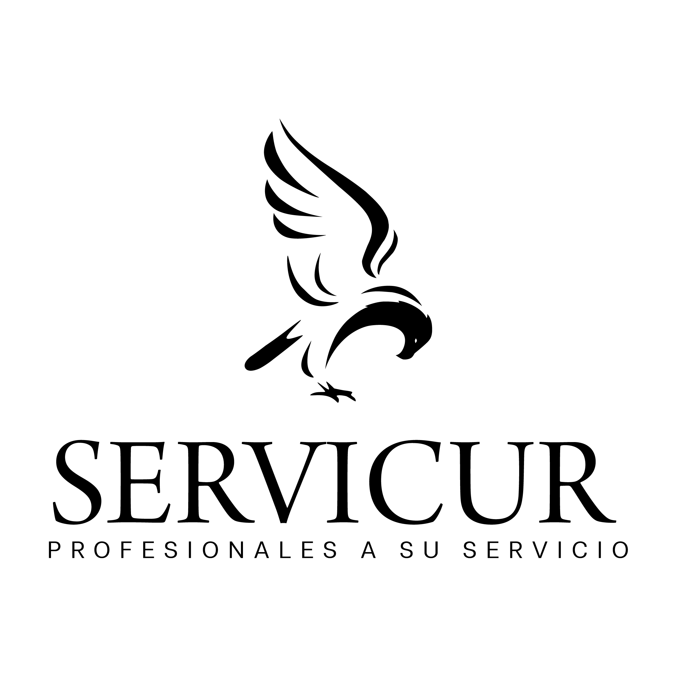 LOGO_SERVICUR_LTDA._2026_05_27_3356.jpg