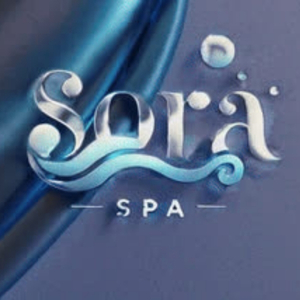 LOGO_SORA_SPA_2025_06_05_2896.JPG