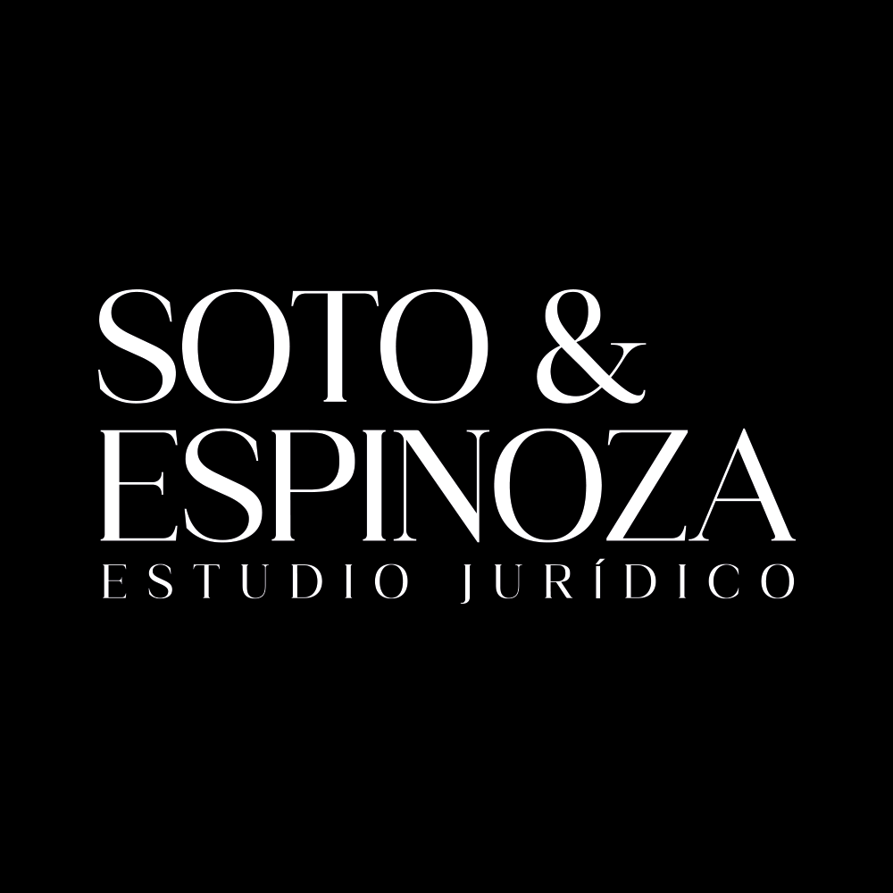 LOGO_SOTO_Y_ESPINOZA_ESTUDIO_JURIDICO_2026_06_03_3487.png