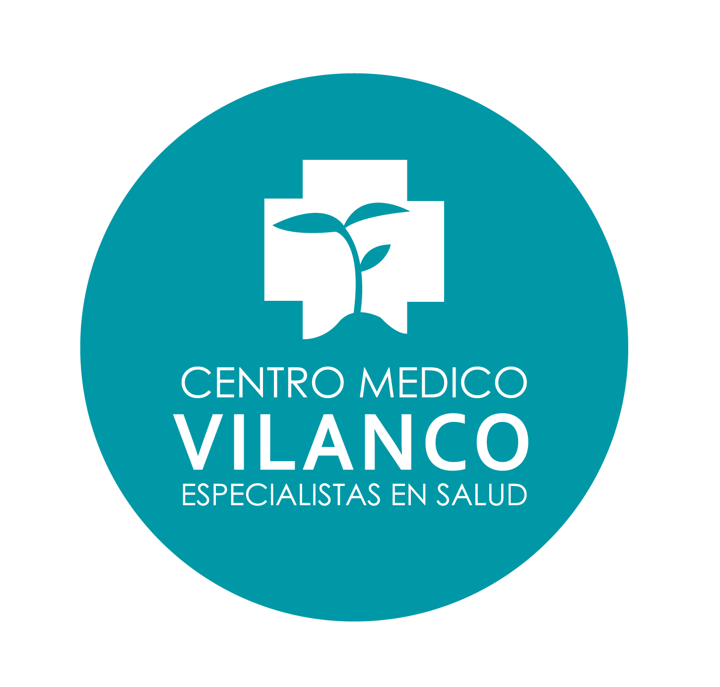 LOGO_VICUNA_BLANCO_LIMITADA_2025_07_28_2952.PNG